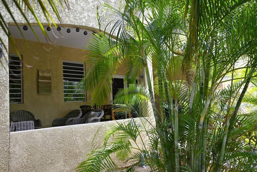 Апартаменты Caribbean Happyness Виллемстад Экстерьер фото